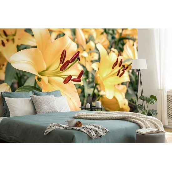 Samolepící fototapeta dokonalé květiny žluté lilie
