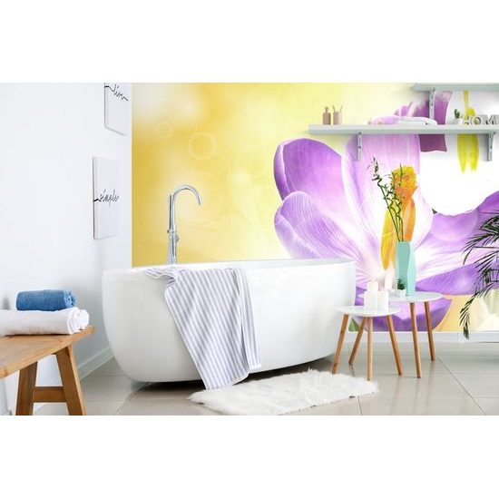 Samolepící fototapeta jarní kvítek krokusu