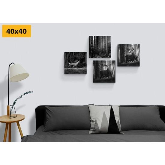 Set obrazů vysoká zvěř v černobílém provedení