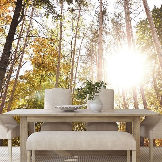 Fototapeta podzimní les