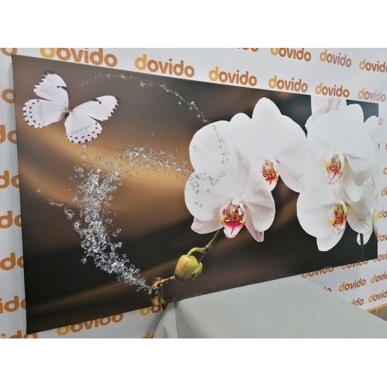 Obraz harmonie motýla s orchidejí