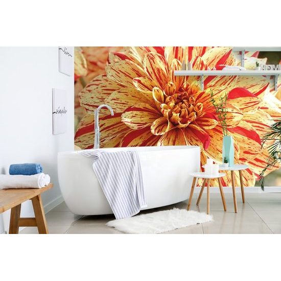 Originální samolepící fototapeta fascinující dálí