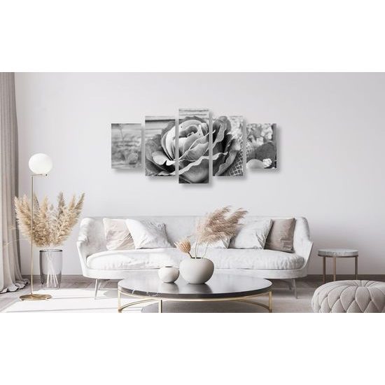 5-dílný obraz nádherná růžová růže v černobílém provedení
