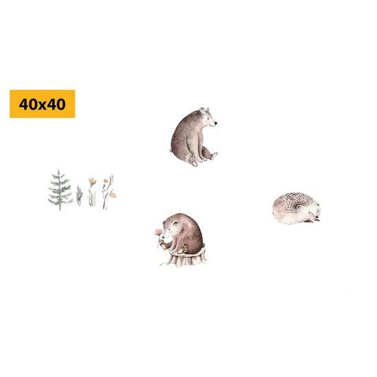 Set obrazů zvířátka z lesa
