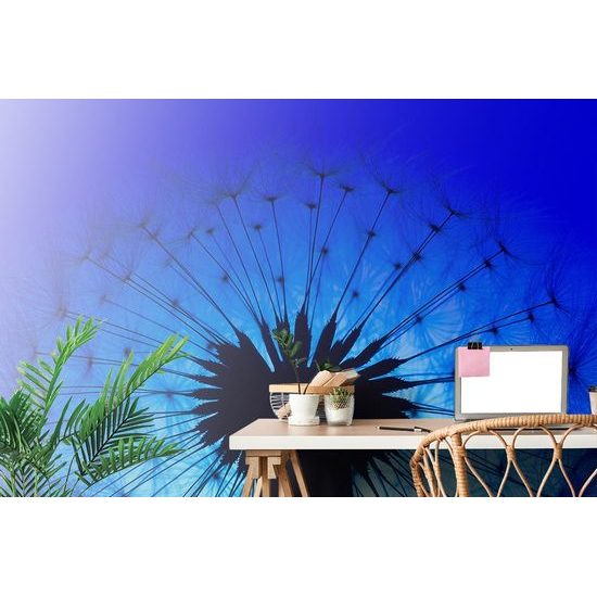 Samolepící tapeta pohádková pampeliška