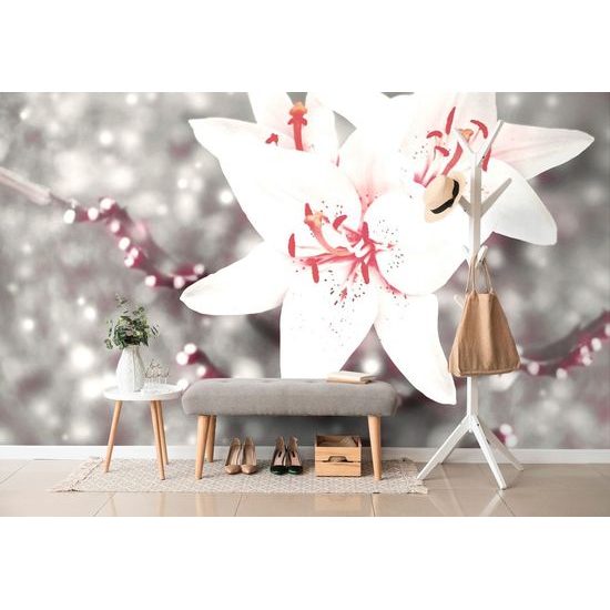 Fototapeta romantická bílá lilie