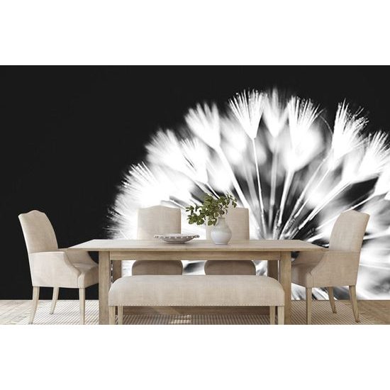 Samolepící tapeta černobílý klobouček pampelišky