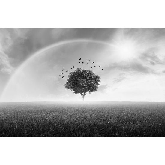 Samolepící tapeta magický strom pod duhou v černobílém provedení