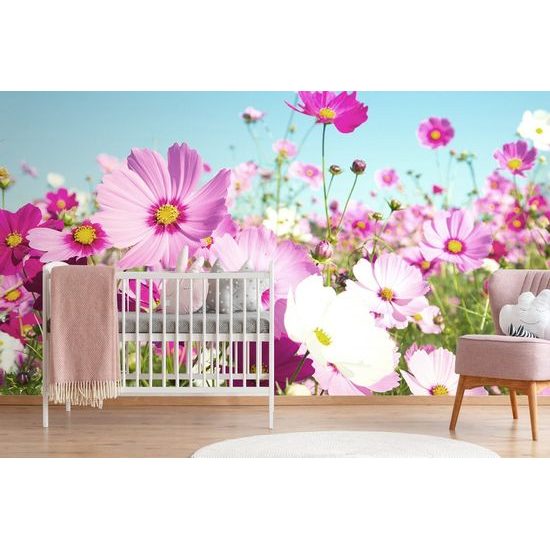 Fototapeta růžové luční květiny