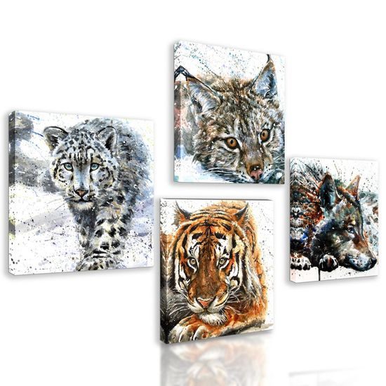 Set obrazů nádherná majestátní zvířata