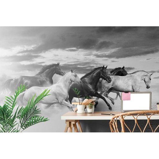Okouzlující černobílá tapeta stádo cválajících koní
