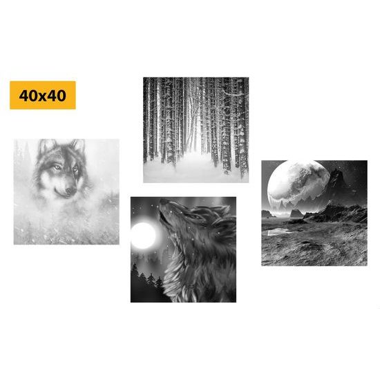 Set obrazů nádherný vlk