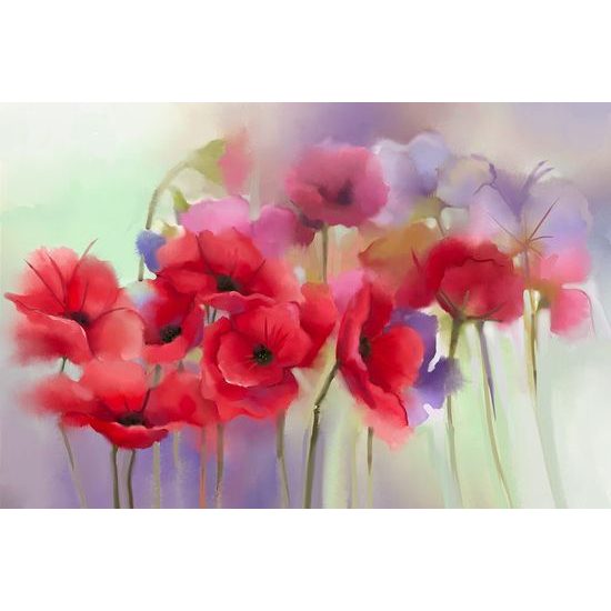 Nádherná tapeta malba vlčích máků