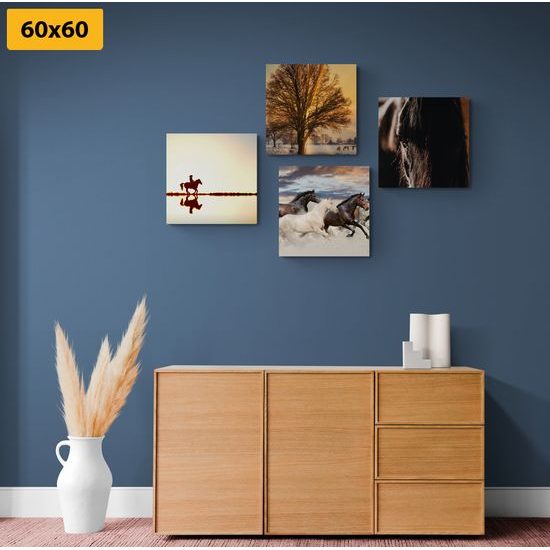 Set obrazů cválající koně