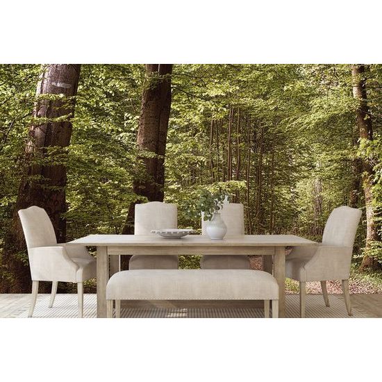 Fototapeta procházka lesem