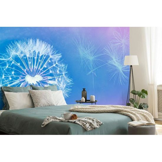 Originální tapeta pampeliška s modrým pozadím