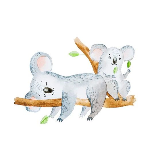 Samolepící tapeta zlaté koaly na větvi