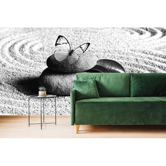 Samolepící fototapeta krásný motýl v zen zahradě v černobílém provedení