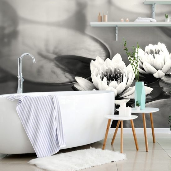 Tapeta lotosový květ na hladině v černobílém provedení