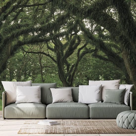 Samolepící fototapeta hustý les