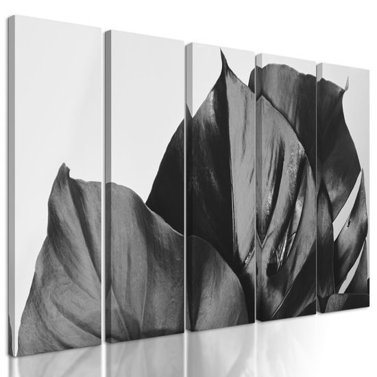 5-dílný obraz listy monstery v černobílém provedení