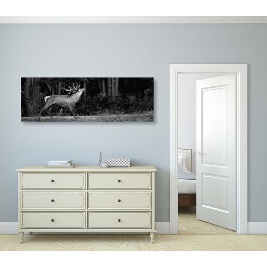 Obraz nádherný jelen v černobílém provedení