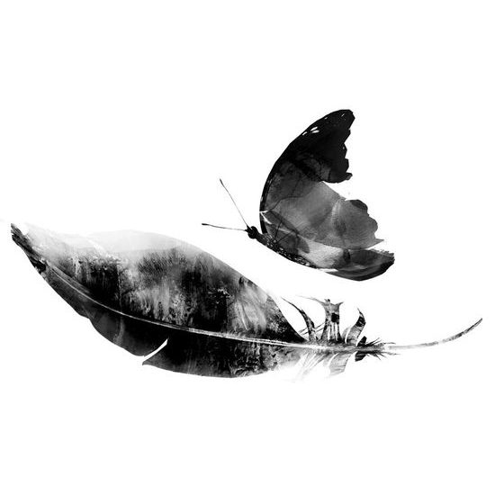 Tapeta černobílý motýl s pírkem