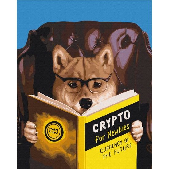 Malování podle čísel pes s knihou