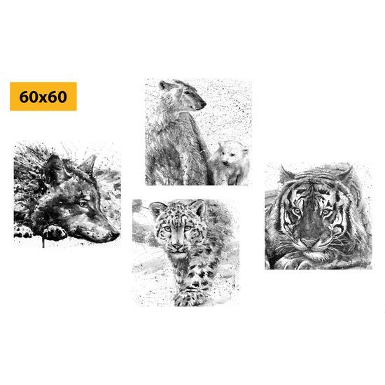 Set obrazů majestátní zvířata v černobílém provedení