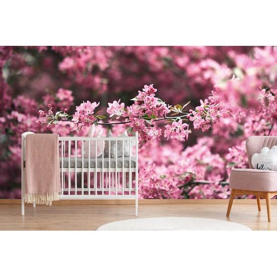 Krásná samolepící tapeta kvítky třešně