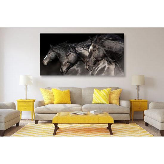 Obraz nádherné koně
