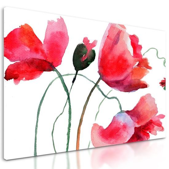 Obraz neviděné květiny máku