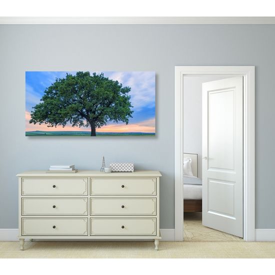 Obraz modrá obloha při západu slunce