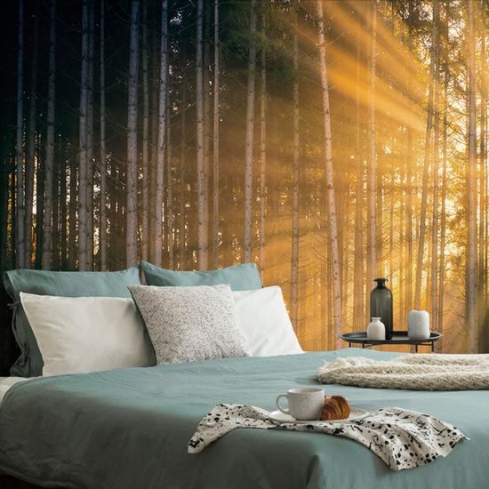 Nádherná fototapeta paprsky slunce mezi stromy