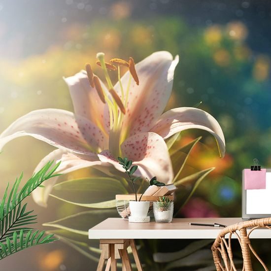 Samolepící tapeta magický květ