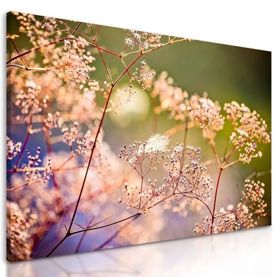 Obraz nádherné květiny