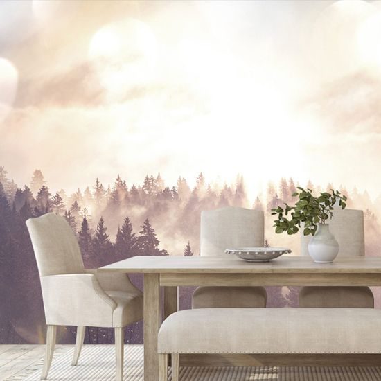 Fototapeta ranní paprsky slunce nad lesem