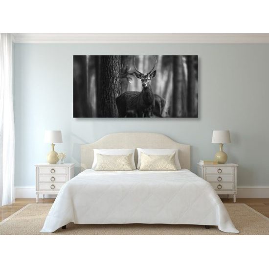 Obraz krásný jelen v černobílém provedení