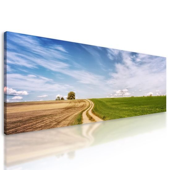 Obraz nádherná země