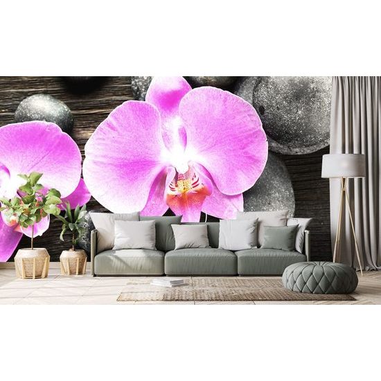Fototapeta orchidej na zen kamenech