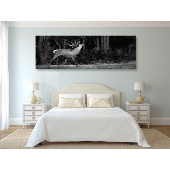 Obraz nádherný jelen v černobílém provedení