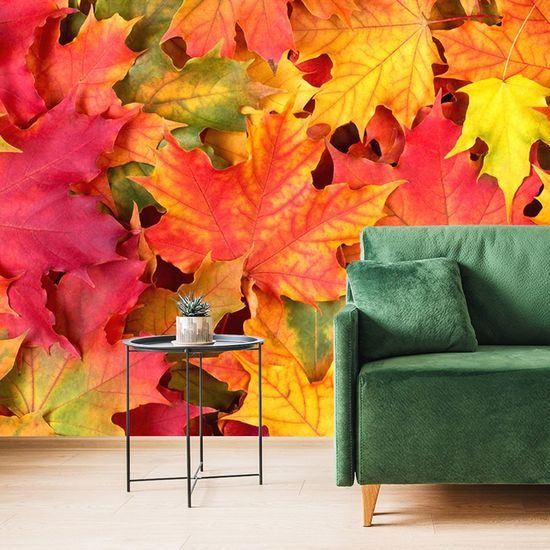 Zajímavá samolepící fototapeta podzimní listy