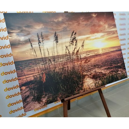 Obraz západ slunce z pláže