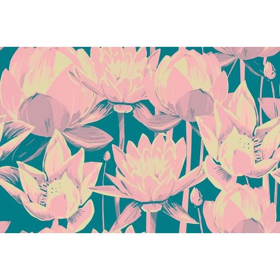 Samolepící tapeta jemná růžová leknína