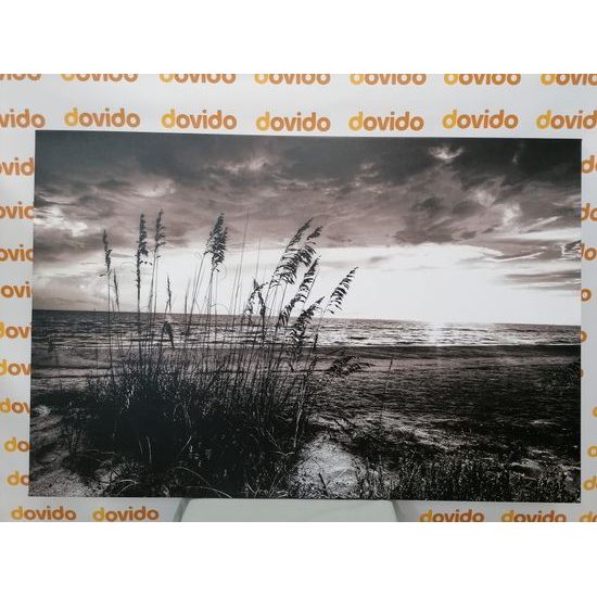 Obraz černobílý západ slunce z pláže