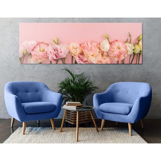 Obraz kvetoucí květiny na růžovém pozadí