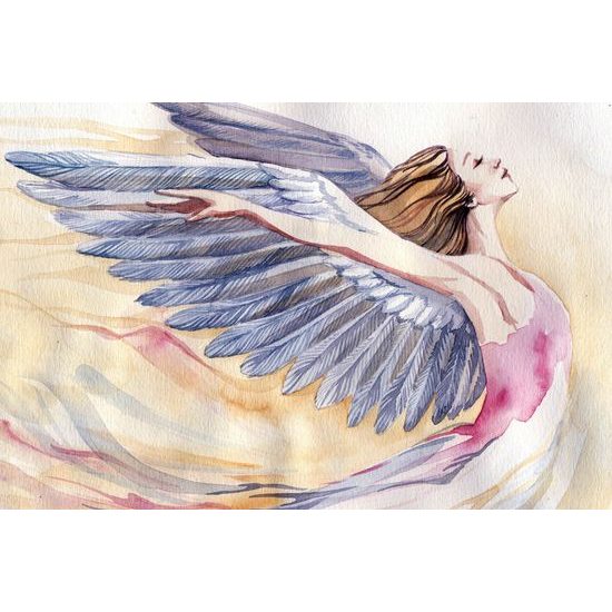 Obraz volnost krásného anděla