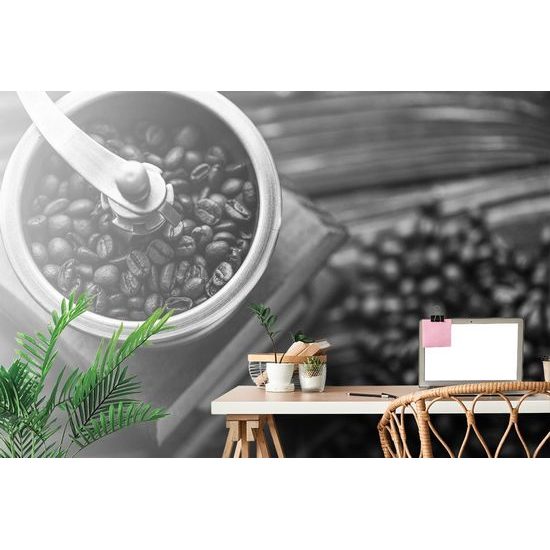 Fototapeta ruční mlýnek s kávou v černobílém provedení