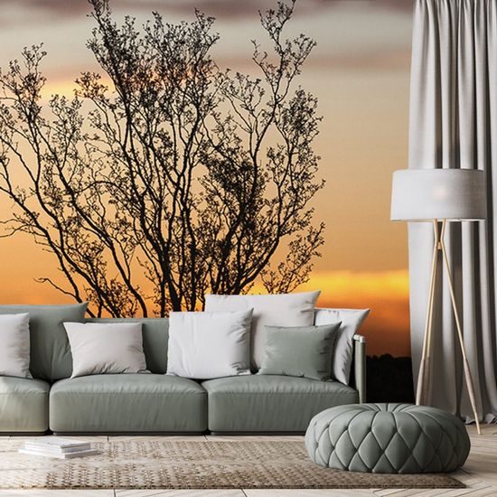 Samolepící fototapeta keř při západu slunce