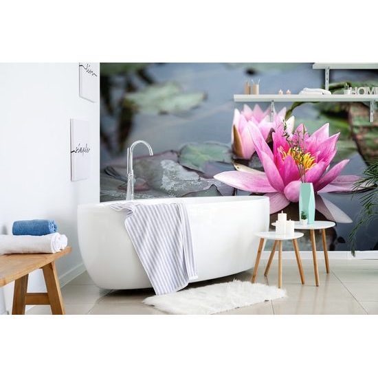 Fototapeta mystický lotosový květ